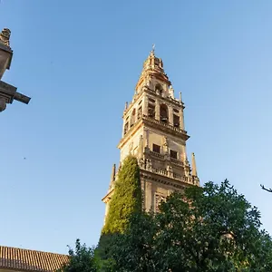 Patios De San Agustín Córdoba